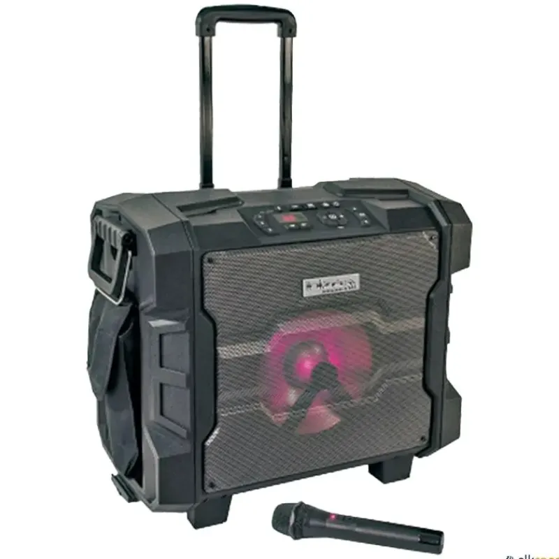 Altavoz Ibiza WPort 10" 300W| Equipamiento Aquagym|Equipo De Sonido