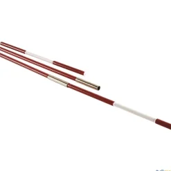 León de Oro Antena voleibol| Voleibol|Voleibol