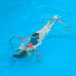 Arcos sumergibles (3 unidades)| Juegos Sumergibles