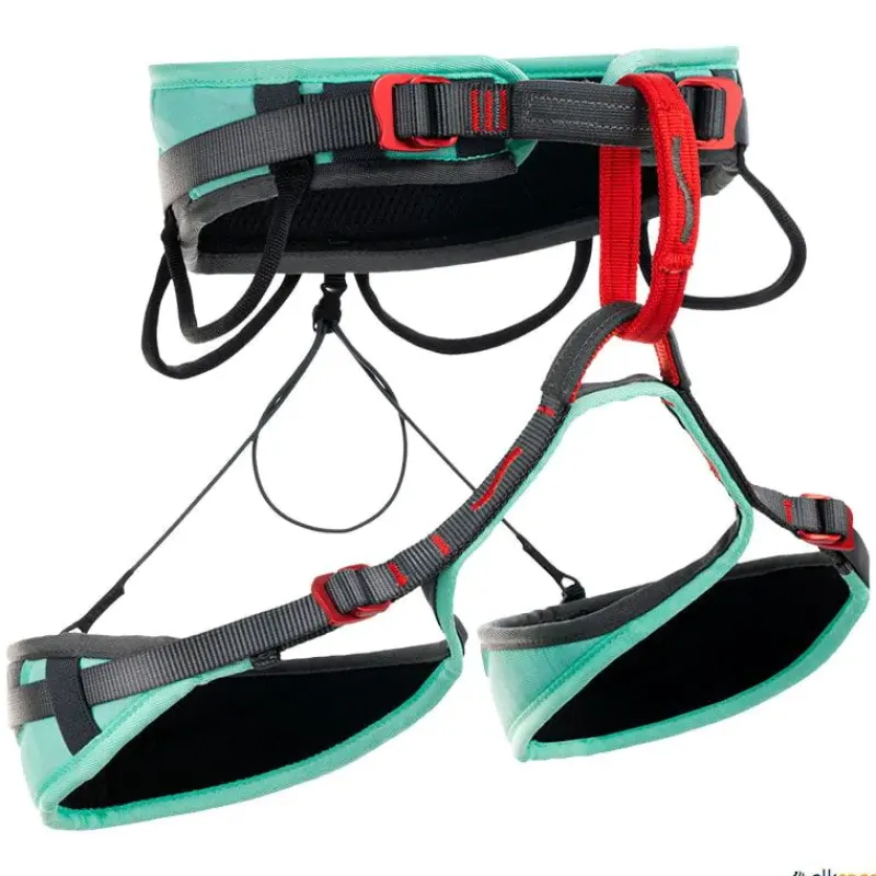 Fixe Arnés Explora| Escalada