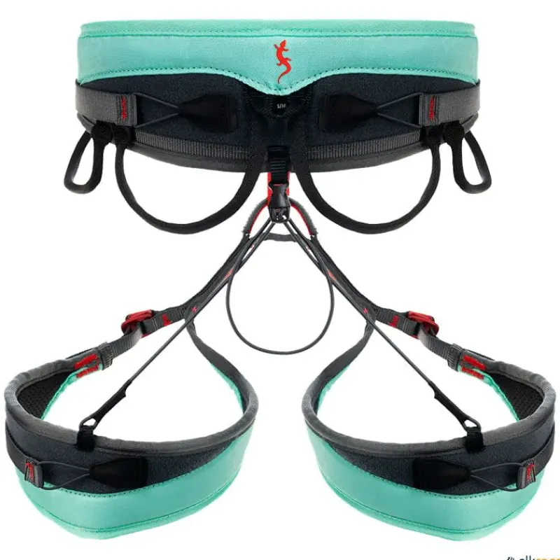 Fixe Arnés Explora| Escalada