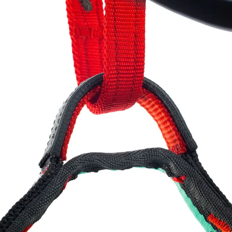 Fixe Arnés Explora| Escalada