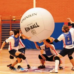 Omnikin Balón oficial Kin-Ball ®| Kin-ball|Kin-Ball