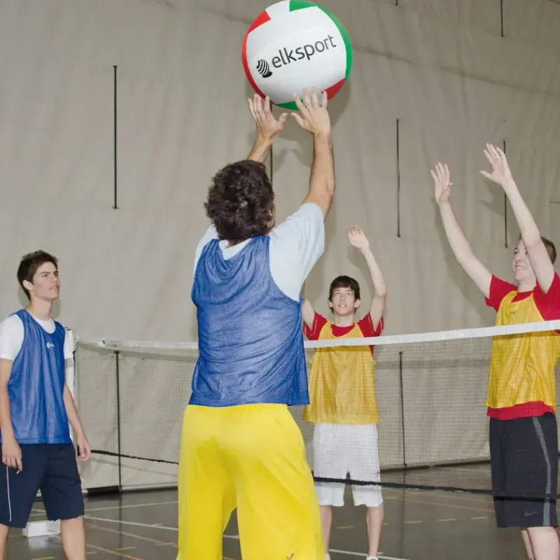 Elk Sport Balón súper voleibol| Gigantes|Gigantes