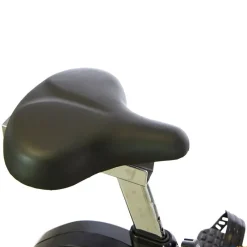 BH Bicicleta estática Ergo EMS| Bicicletas Estáticas