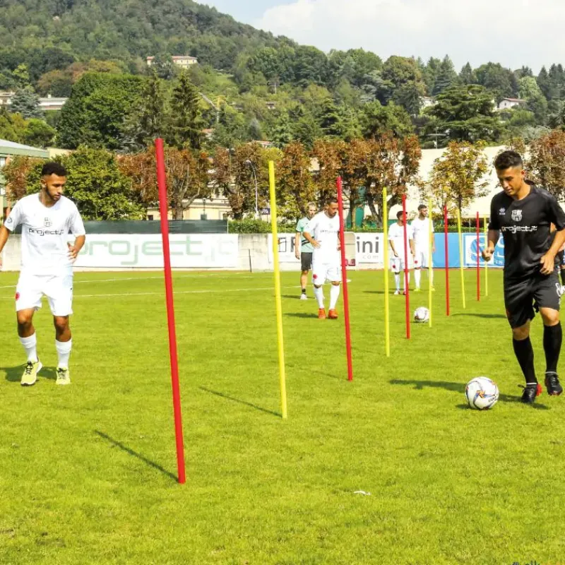 Elk Sport Conjunto 12 picas slalom + bolsa| Kits De Motricidad|Picas