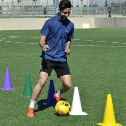 Elk Sport Cono clásico 40 cm| Conos|Conos