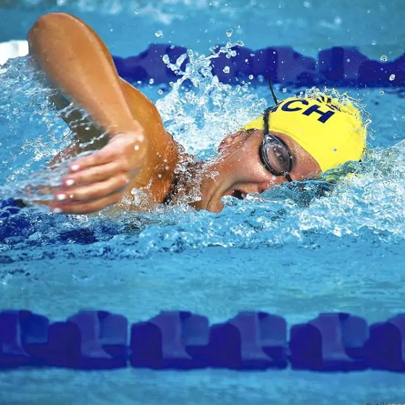 Corcheras donuts | Modelo Roma| Corcheras