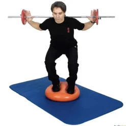 Gymnic Disco Sport| Propiocepción|Propiocepción