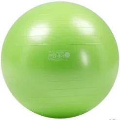 Gymnic Fitnessball | 65 cm| Balones|Balones