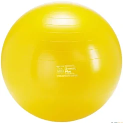 Gymnic Fitnessball | 65 cm| Balones|Balones