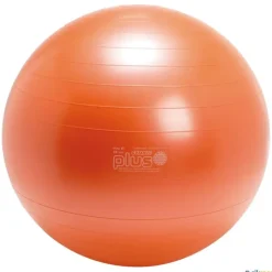 Gymnic Fitnessball | 65 cm| Balones|Balones
