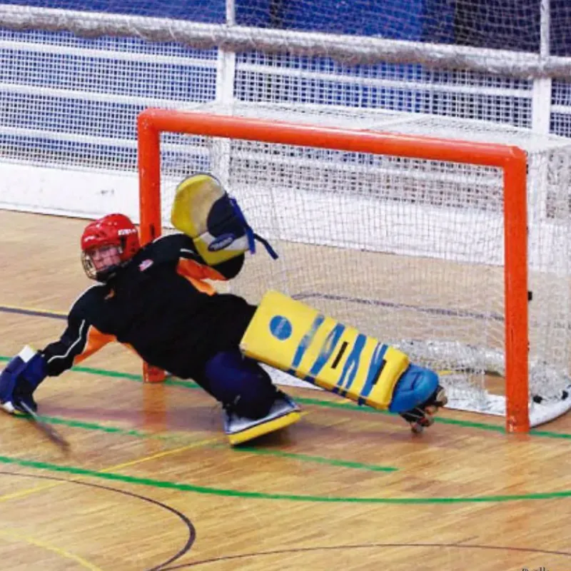 León de Oro Juego 2 redes hockey patines| Floorball Y Hockey|Floorball Y Hockey