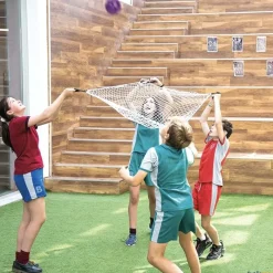 León de Oro Juego de la red| Lanzamiento Y Recepción|Juegos Cooperativos