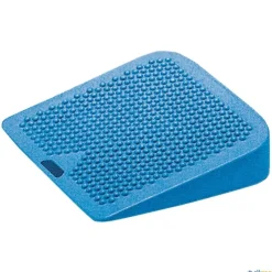 Gymnic Movin Sit| Educación Postural