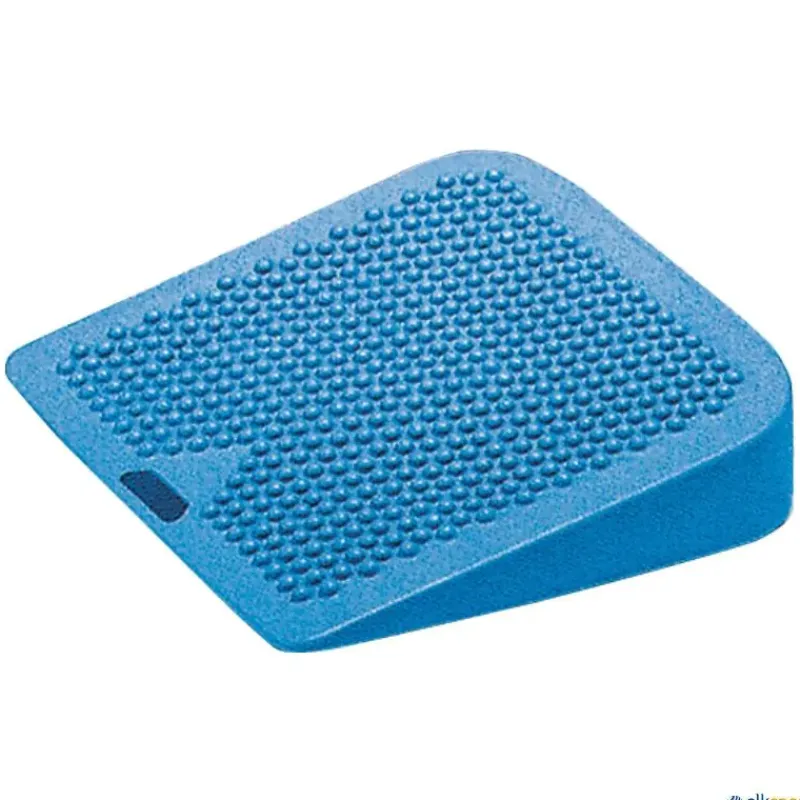 Gymnic Movin Sit| Educación Postural