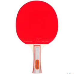 Elk Sport Pala tenis de mesa Elk | 1 Estrella| Tenis De Mesa
