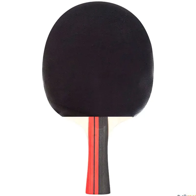 Elk Sport Pala tenis de mesa Elk | 2 Estrellas| Tenis De Mesa