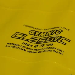 Gymnic Pelota gigante| Gigantes|Gigantes