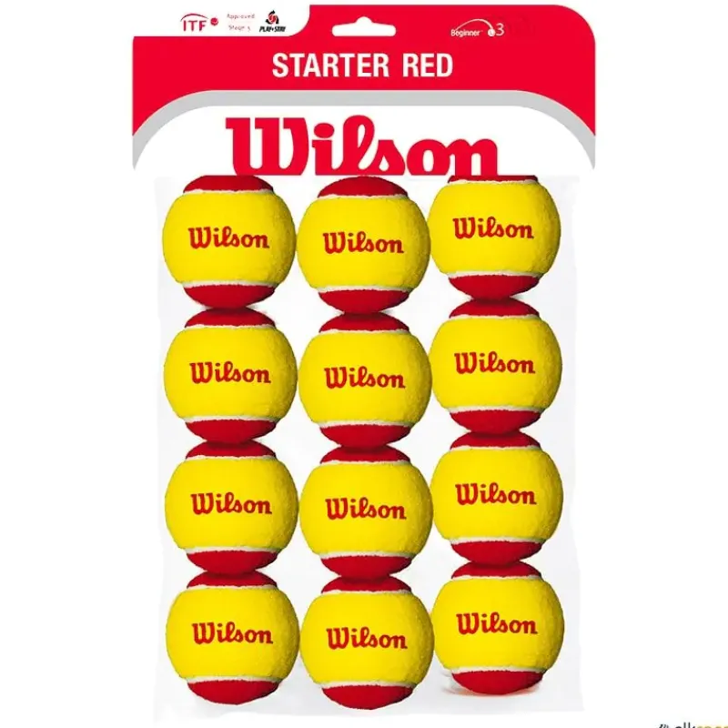 Wilson Pelota tenis Starter Easy (Stage 3)| Tenis