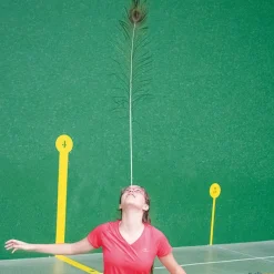 Plumas malabares (12 unidades)| Malabares