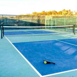 León de Oro Red pickleball Línea Oro| Pickleball