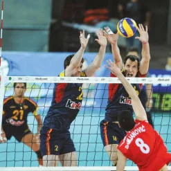 León de Oro Red voleibol| Voleibol|Voleibol