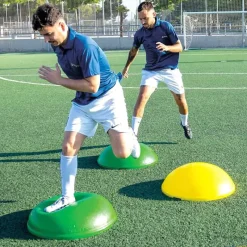 Trial Semiesfera de equilibrio Tortuga T2| Propiocepción|Semiesferas