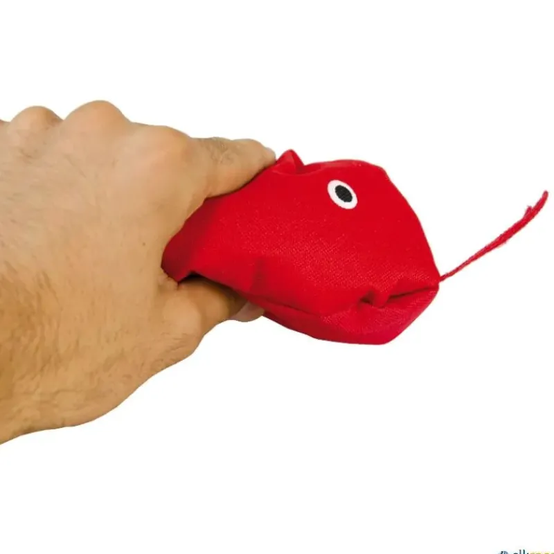 Elk Sport Serpiente de equilibrio| Psicomotricidad|Equilibrio