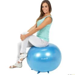 Gymnic Sit Gym adultos| Educación Postural