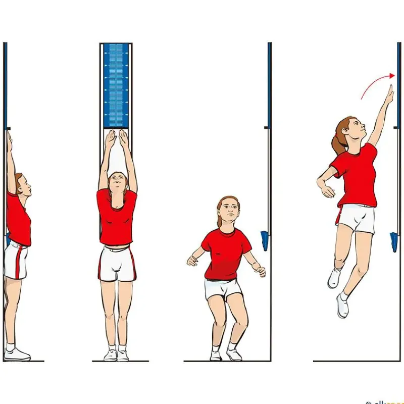 Eveque Soporte graduado para salto vertical| Atletismo