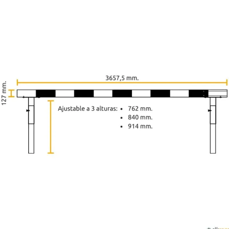 Vinex Valla de ría atletismo| Atletismo|Atletismo